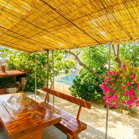 Zlatna Vala Relaxation In A Very Quiet Location Metajna Εξωτερικό φωτογραφία